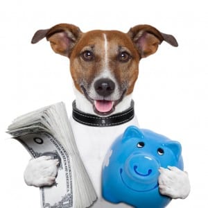 Cost to hire a dog walker or pet sitter